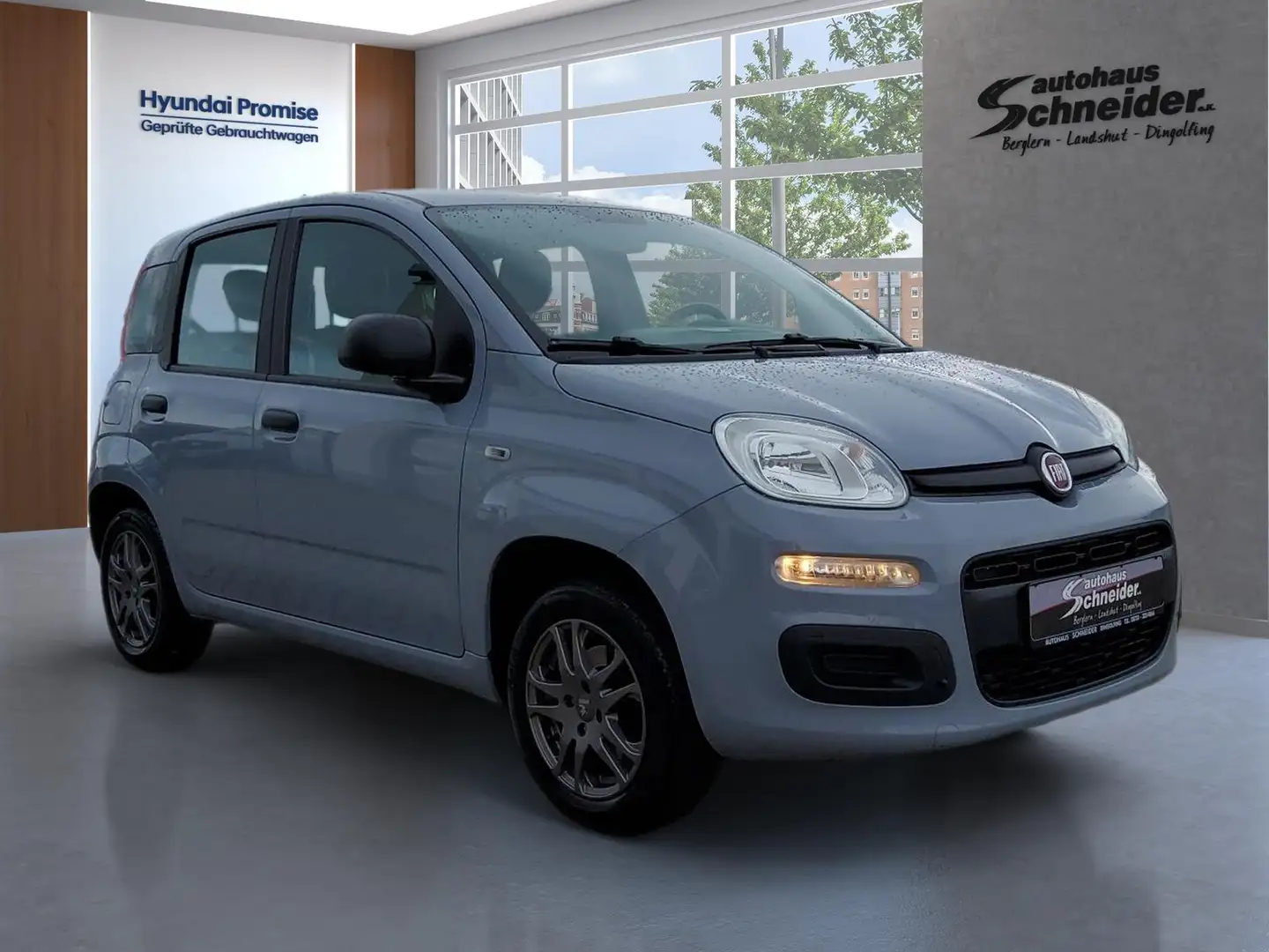 Fiat Panda 1.2 5-Gang EASY  KLIMA/RADIO/SCHECKHEFT Gris - 2