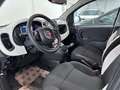 Fiat Panda Pandina 1.0 firefly hybrid PRONTA CONSEGNA PORMO Bianco - thumbnail 7