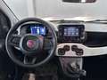 Fiat Panda Pandina 1.0 firefly hybrid PRONTA CONSEGNA PORMO Bianco - thumbnail 8