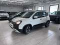 Fiat Panda Pandina 1.0 firefly hybrid PRONTA CONSEGNA PORMO Bianco - thumbnail 2