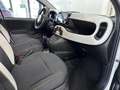 Fiat Panda Pandina 1.0 firefly hybrid PRONTA CONSEGNA PORMO Bianco - thumbnail 11
