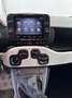 Fiat Panda Pandina 1.0 firefly hybrid PRONTA CONSEGNA PORMO Bianco - thumbnail 10