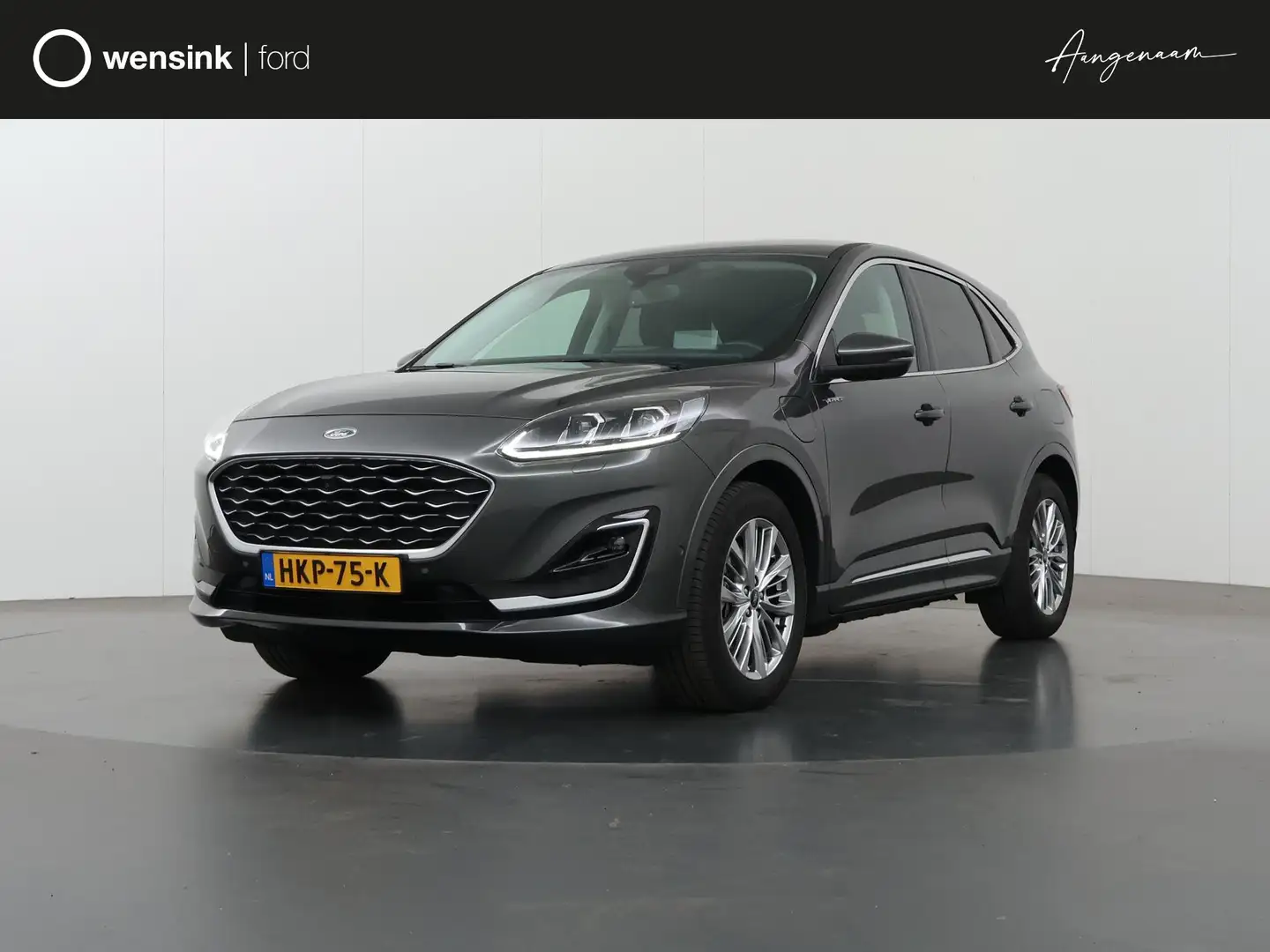 Ford Kuga 2.5 PHEV Vignale | Navigatie | Head-Up | Winterpak Gris - 1