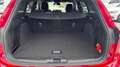 Ford Focus Turnier 1.0 EcoBoost ST-Line X*Matrix*HUD* Rot - thumbnail 21