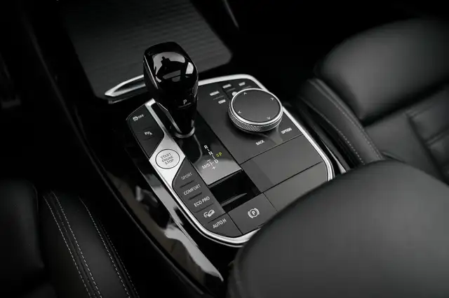 BMW X3 view 19