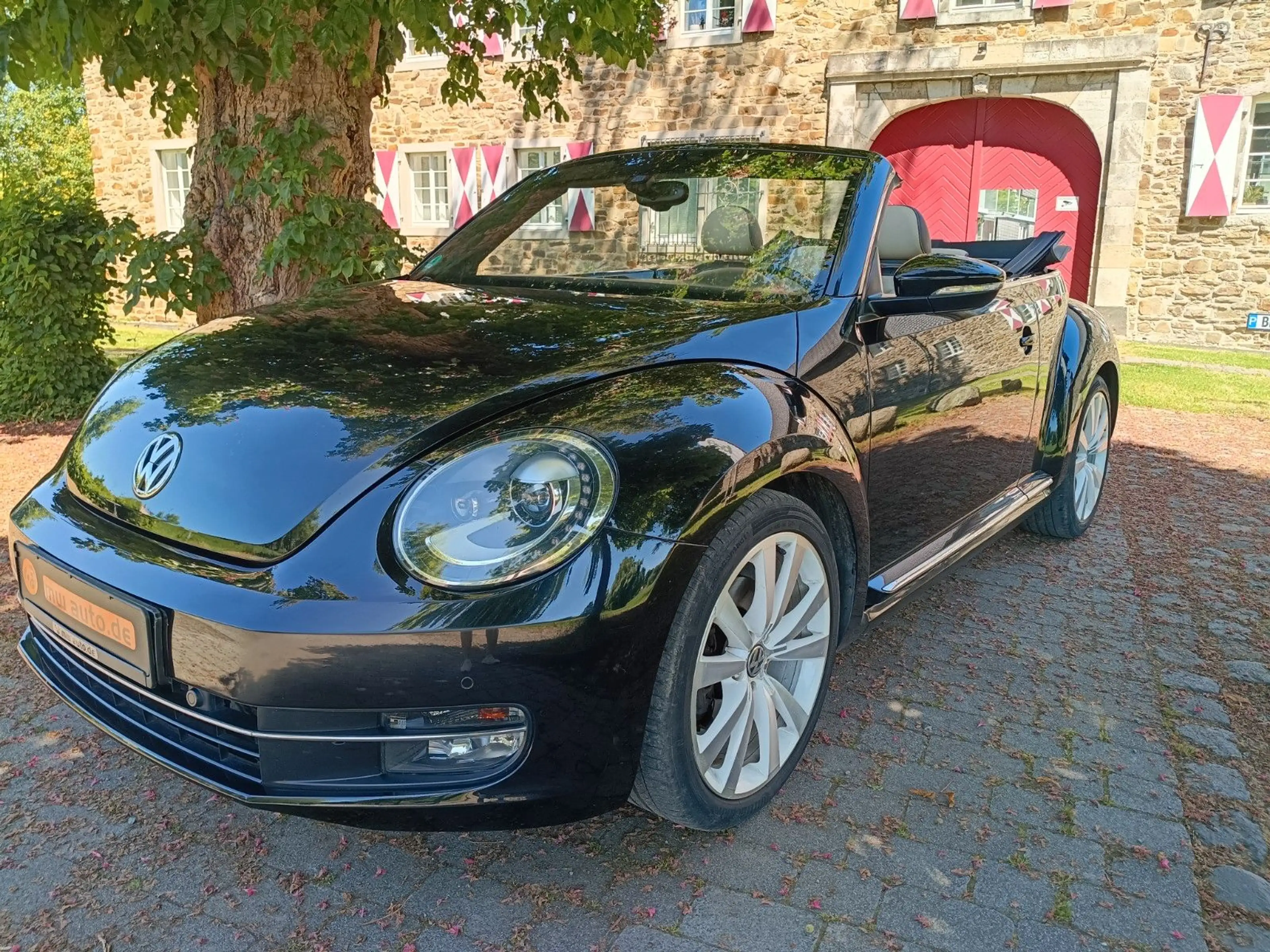 Volkswagen New Beetle 1.4 Excl.Sport,STEUERKETTE ERNEUERT!!