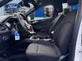 Ford Focus 1.0 Ecoboost MHEV ST-Line 125 Blanc - thumbnail 13