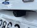 Ford Focus 1.0 Ecoboost MHEV ST-Line 125 Blanc - thumbnail 9