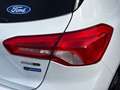 Ford Focus 1.0 Ecoboost MHEV ST-Line 125 Blanc - thumbnail 8