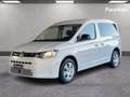 Volkswagen Caddy CARGO V 2.0 TDI | 2022 - 102CV | MANUALE Bianco - thumbnail 1