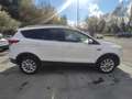 Ford Kuga Kuga II 2.0 tdci Titanium 4wd s Wit - thumbnail 5