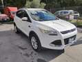 Ford Kuga Kuga II 2.0 tdci Titanium 4wd s Wit - thumbnail 18