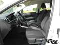 Volkswagen Polo Life 1.0 LED PDC RFK KLIMA Weiß - thumbnail 12