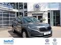 Skoda Kodiaq 2.0 TDI DSG AHK,Navi,Panoramadach Style 4x4 Grau - thumbnail 1