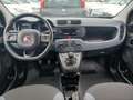 Fiat Panda Panda 1.2 EasyPower Easy Gris - thumbnail 12