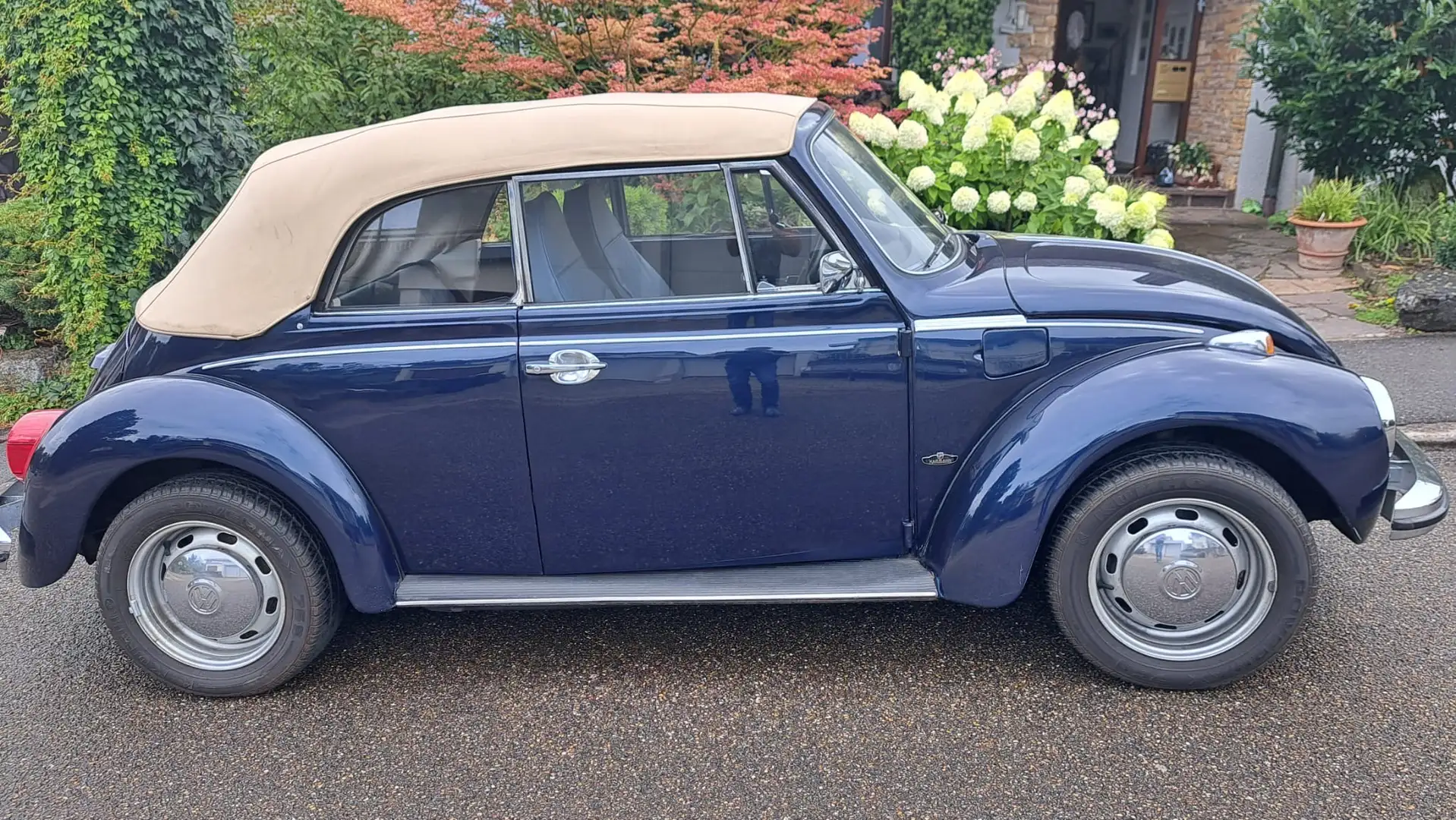 Volkswagen Käfer Blau - 1