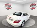 Mercedes-Benz SLK 250 CDI MERCEDES SCHECKHEFT/LEDER/TÜV NEU Blanc - thumbnail 11