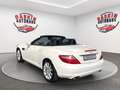 Mercedes-Benz SLK 250 CDI MERCEDES SCHECKHEFT/LEDER/TÜV NEU Blanc - thumbnail 5