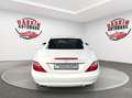 Mercedes-Benz SLK 250 CDI MERCEDES SCHECKHEFT/LEDER/TÜV NEU Blanc - thumbnail 10