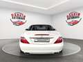 Mercedes-Benz SLK 250 CDI MERCEDES SCHECKHEFT/LEDER/TÜV NEU Blanc - thumbnail 6