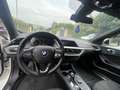 BMW 116 116d ch DKG7 Business Design - thumbnail 10