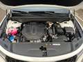Kia Sorento 2,2D 4WD DCT8 Spirit Drive Blanco - thumbnail 20
