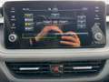 Skoda Fabia Drive Plus 1.0 TSI DSG 2ZKlima AHK Apple 2 x PD... Grau - thumbnail 19
