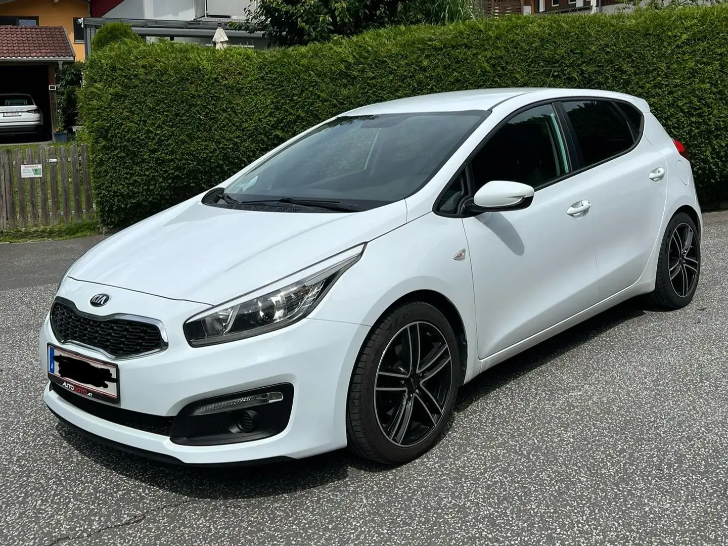 Kia Ceed / cee'd cee'd 1,6 CRDi Titan Titan Weiß - 1