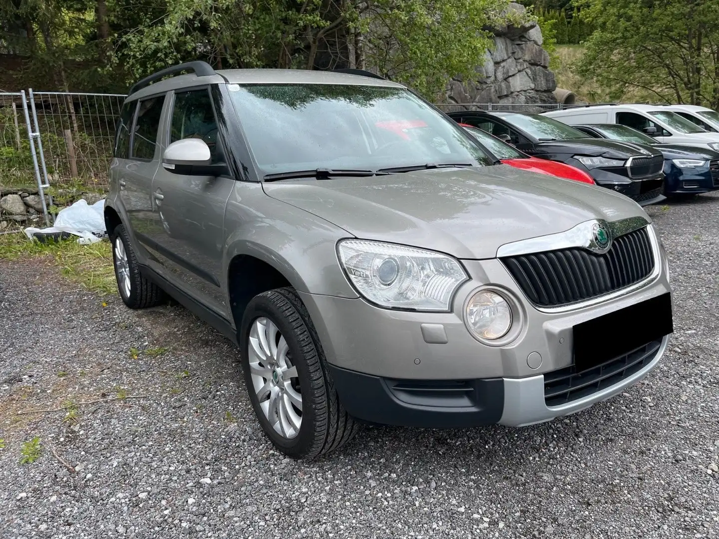 Skoda Yeti Experience Automatic Beige - 2