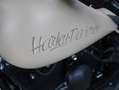 Harley-Davidson Fat Boy RiCKS UMBAU *VANCE&HiNES*AiRRiDE*10.5x18 Beige - thumbnail 15