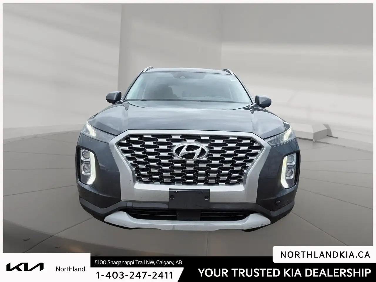 Hyundai PALISADE fotografie Hyundai PALISADE