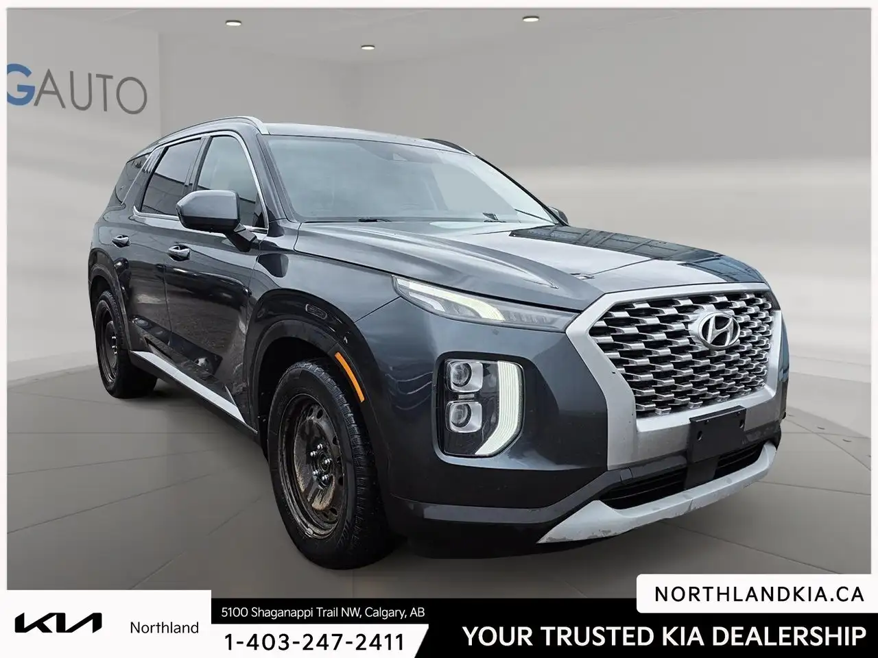 Hyundai PALISADE fotografie Hyundai PALISADE