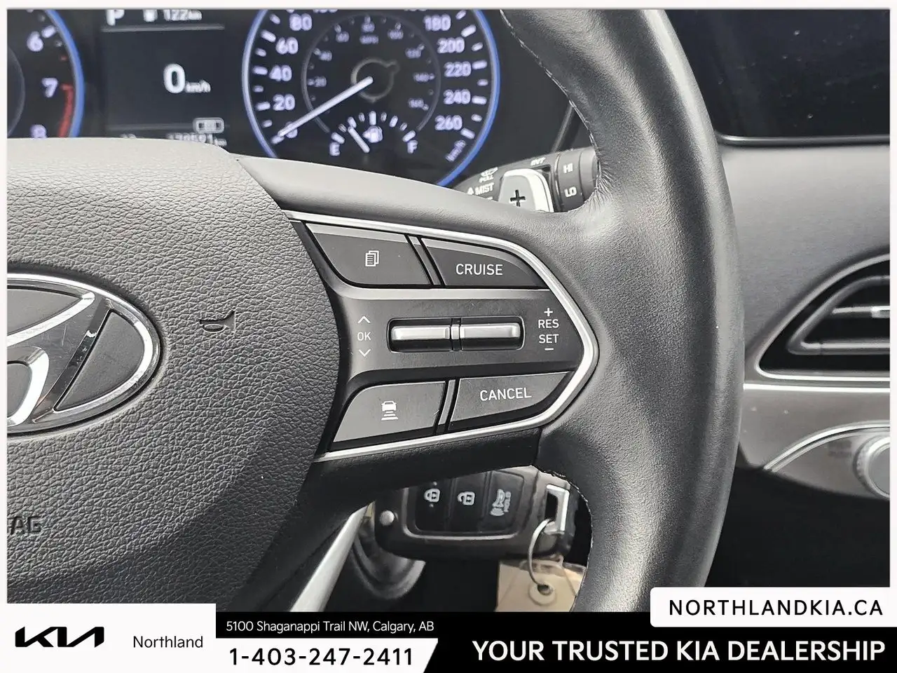 Hyundai PALISADE fotografie Hyundai PALISADE