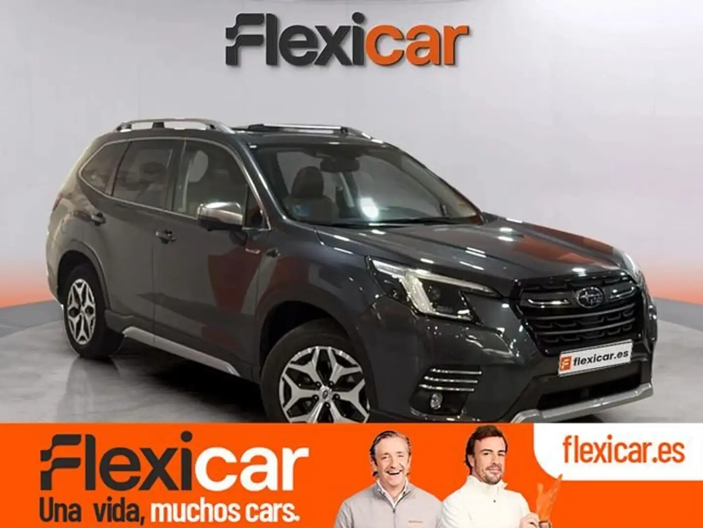 Subaru Forester 2.0i Hybrid Executive Plus CVT Gris - 1