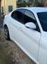 Alfa Romeo Giulia Giulia 2.2 Turbodiesel 150 CV Super Blanc - thumbnail 6