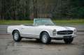 Mercedes-Benz SL 230 Pagoda | Manual | Multiple rally participations Weiß - thumbnail 12