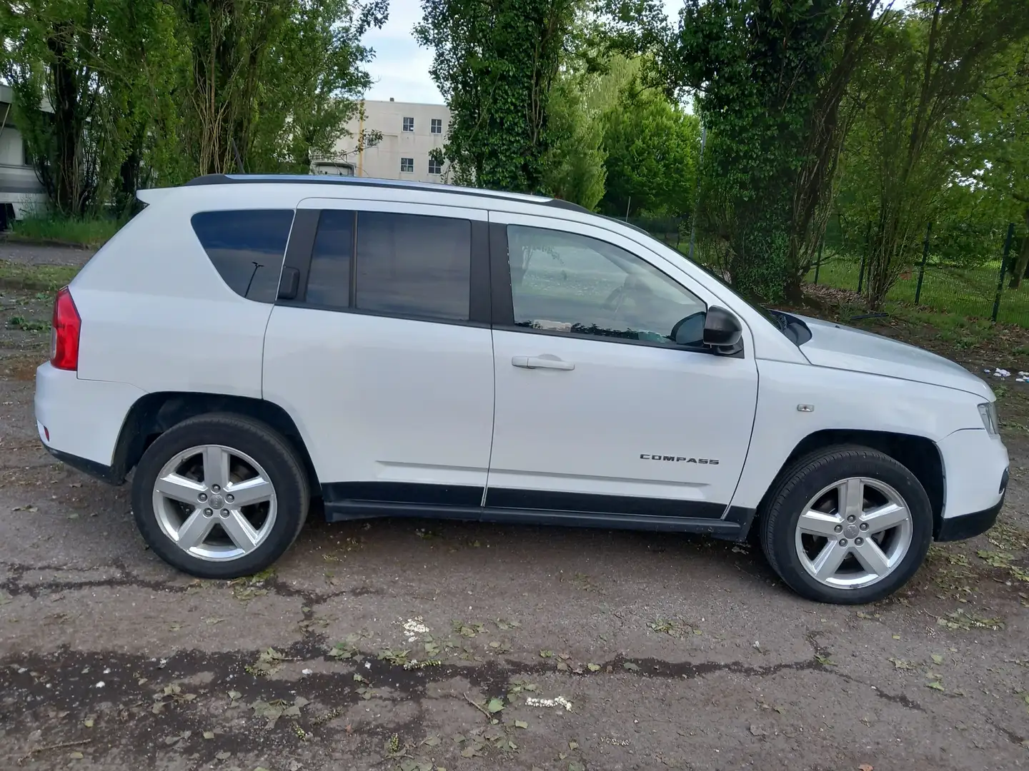 Jeep Compass Compass I 2011 2.2 crd Limited 4wd 163cv Alb - 1