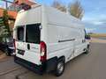Toyota Proace Max Kasten 35 L3H3 Heavy BlueHDi 140 W Weiß - thumbnail 6