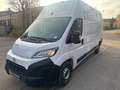 Toyota Proace Max Kasten 35 L3H3 Heavy BlueHDi 140 W Weiß - thumbnail 1