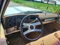 Chevrolet USA C10 350 oldtimer v8 - thumbnail 15