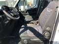 Iveco Daily 35S12 MH2 + IVA Blanc - thumbnail 10