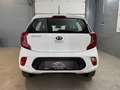 Kia Picanto 1,0 MPI Titan*1-Besitz* Weiß - thumbnail 9