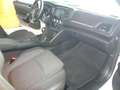 Renault Megane S.T. 1.5dCi Blue Equilibre 85kW Blanco - thumbnail 12