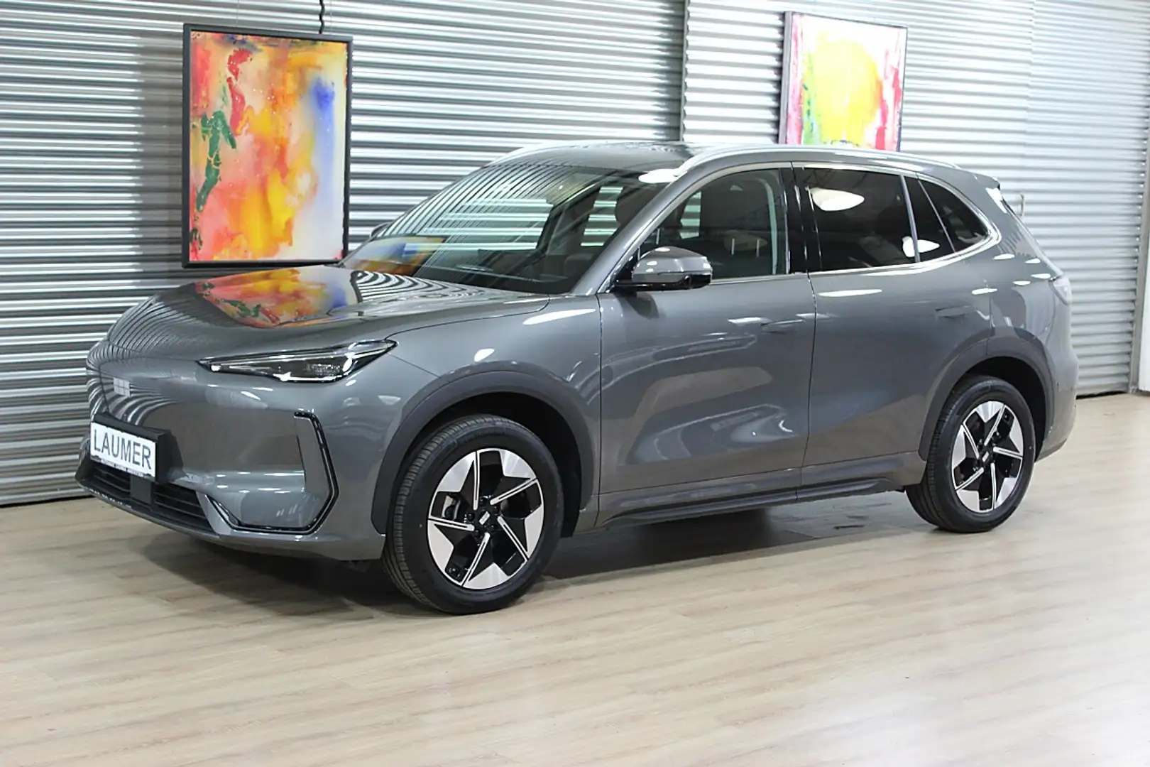 Geely E5 Pro 60kWh Batterie Grau - 1