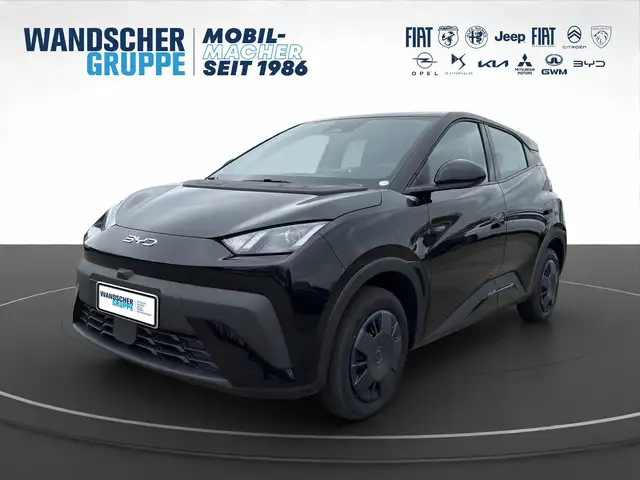 BYD Dolphin Surf