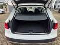 Audi A4 allroad ALLROAD/QUATTRO/XENON/PDC/NAV/TEMP/LED/ Blanco - thumbnail 12