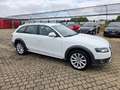 Audi A4 allroad ALLROAD/QUATTRO/XENON/PDC/NAV/TEMP/LED/ Blanco - thumbnail 4