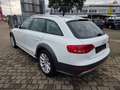 Audi A4 allroad ALLROAD/QUATTRO/XENON/PDC/NAV/TEMP/LED/ Blanco - thumbnail 8