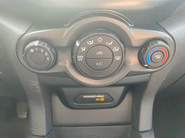 Ford Ecosport view 11