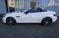 Mercedes-Benz SLC 250 AMG Pano/Airscarf/Night Paket/LED Weiß - thumbnail 13